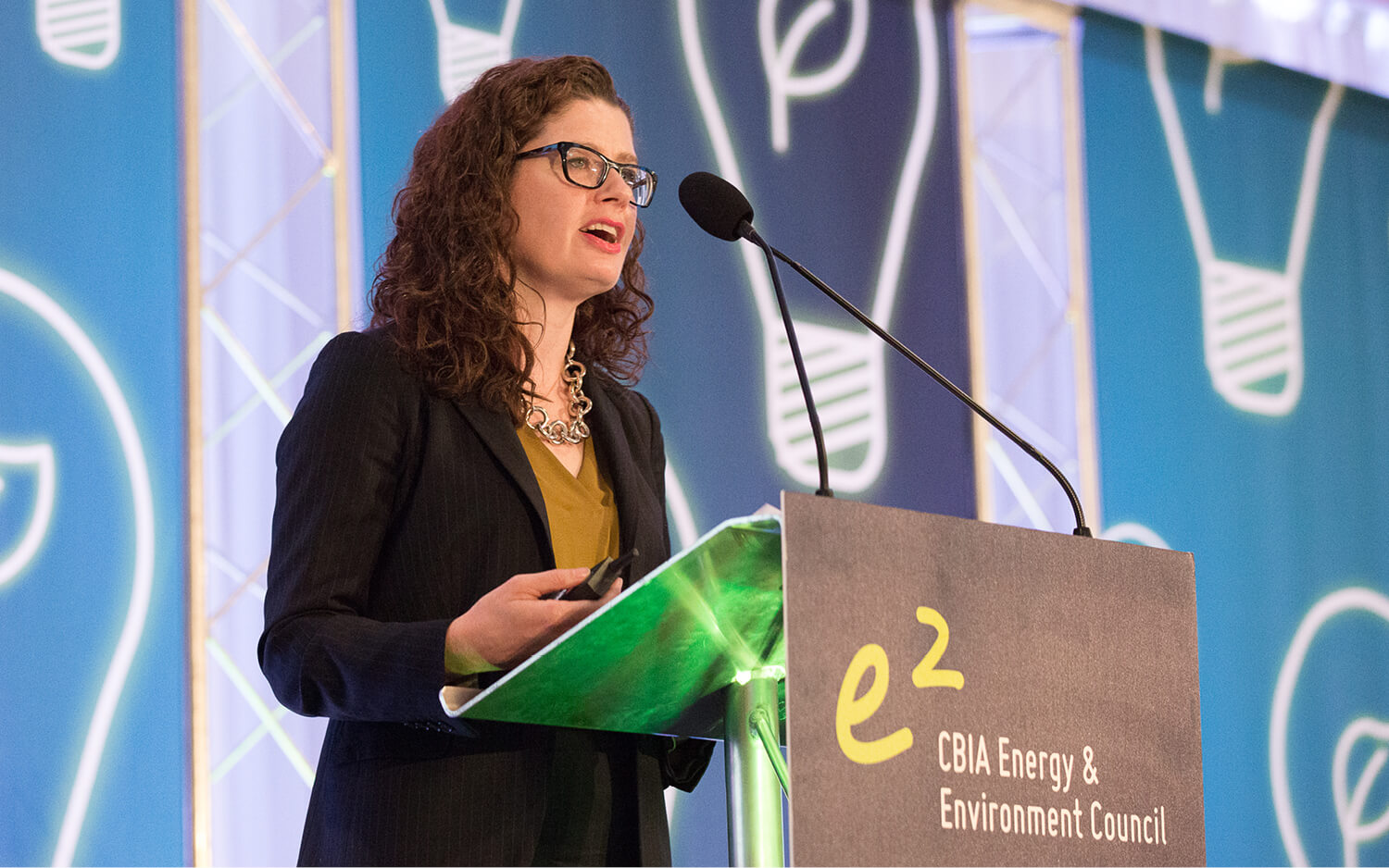 DEEP Chief Promises Streamlined Permitting, Regulatory Process